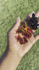 3 Shades of Leopard Print Butterfly 6 Piece Hair Claw Set
